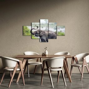 Obraz - Kąpiący się słoń (125x70 cm)