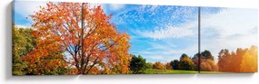 Obraz - Jesienny krajobraz (170x50 cm)
