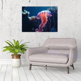 Obraz na szkle - Meduza (70x50 cm)