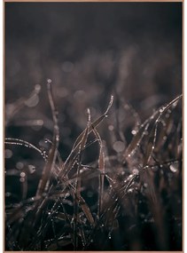 Obraz 50x70 cm Mellow Grasses 5 – Malerifabrikken