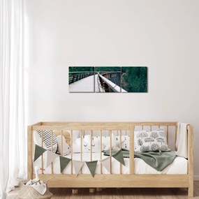 Obraz - Most do wierzchołków drzew (z zegarem) (90x30 cm)