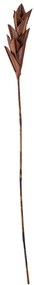 Dekoracja w kształcie liścia palmy Bloomingville Afina, wys. 93 cm