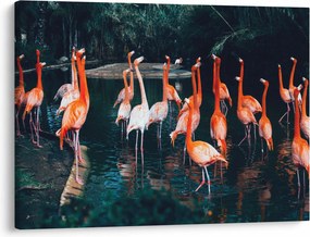Obraz stada flamingów (70x50 cm)
