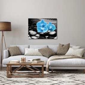 Obraz - Niebieska Orchidea (70x50 cm)