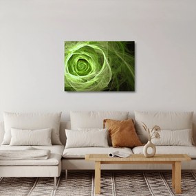 Obraz na szkle - Abstrakcyjny zielony róż (70x50 cm)
