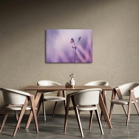 Obraz - Fioletowe motyle (70x50 cm)