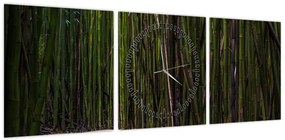 Obraz - Wśród bambusów (z zegarem) (90x30 cm)