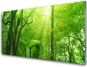 Panel Kuchenny Las w Letnim Słońcu