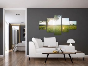 Obraz drzewa na polu (125x70 cm)