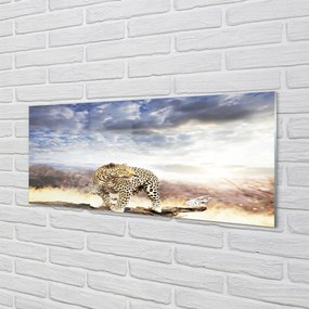 Panel szklany do Kuchni Pantera na tle Chmur