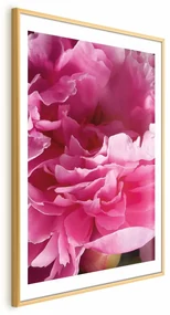 Plakat Piękne piwonie 21x30 cm z ramą złotą z marginesem ARTGEIST B
