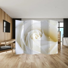 Parawan - Biała róża (210x170 cm)