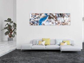 Obraz - Zimowy ptaszek (170x50 cm)
