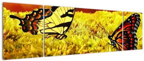 Obraz motyli (170x50 cm)