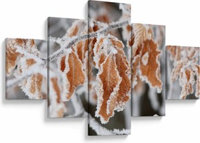 Obraz - Zamarznięte liście (125x70 cm)