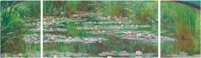 Obraz - Claude Monet, The Japanese Footbridge, reprodukcje (170x50 cm)