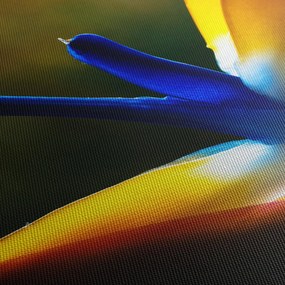 Obraz - Egzotyczny kwiat (z zegarem) (90x30 cm)