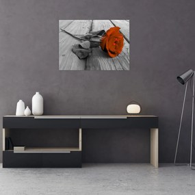 Obraz - Pomarańczowa róża (70x50 cm)