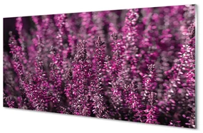Szklany Panel Pole wrzosy