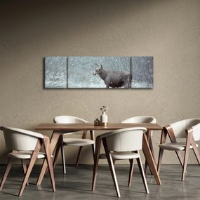 Obraz - Łoś w śnieżnym lesie (170x50 cm)