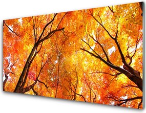 Szkło do Kuchni na Ścianę Gęsty Las Liściasty