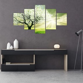 Obraz drzewa na łące (125x70 cm)
