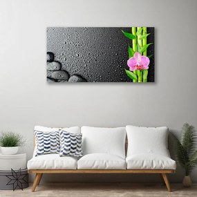 Obraz canvas Egzotyczny Pęd Bambusa