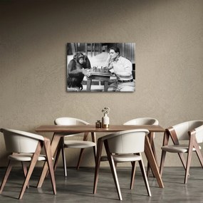 Obraz - Cyrk 2 (70x50 cm)