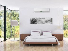 Obraz - Mlecz (170x50 cm)