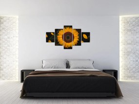 Obraz  - Słonecznik i płatki kwiatów (125x70 cm)