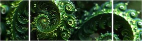 Obraz - Spirale (170x50 cm)