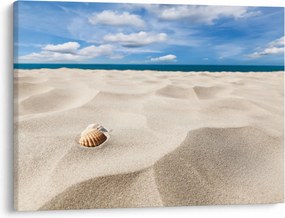 Obraz - Muszle na plaży (70x50 cm)