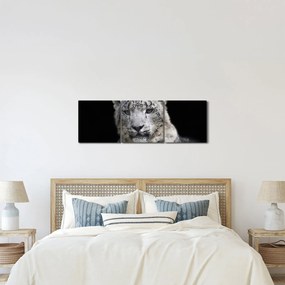 Obraz - Snow Leopard (z zegarem) (90x30 cm)