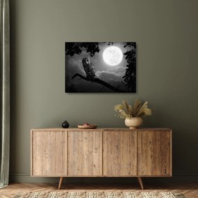 Obraz na szkle - Nocna sowa, czarno-biały (70x50 cm)
