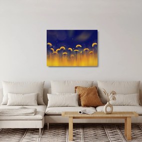 Obraz na szkle - Dmuchawce (70x50 cm)