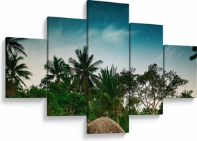 Obraz - palmy (125x70 cm)