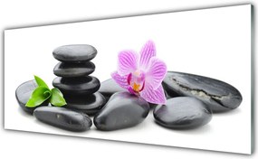 Panel Kuchenny Kwiatowa Harmonia Zen