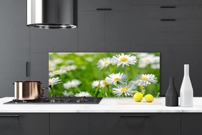 Panel Szklany Skromność Polnej Stokrotki