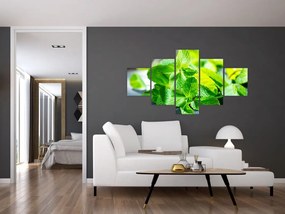 Obraz mięty (125x70 cm)