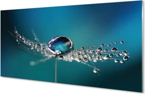 Panel nad Blat Kuchenny Dmuchawiec w Makrofotografii