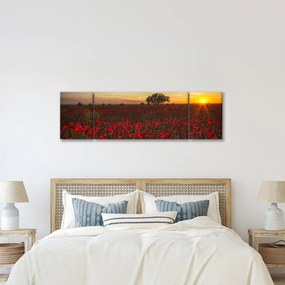 Obraz łąki z makami (170x50 cm)