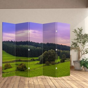 Parawan - Łąka (210x170 cm)