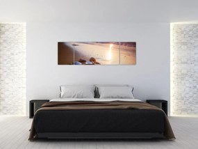Obraz - Małże (170x50 cm)