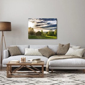 Obraz domku na łące (70x50 cm)