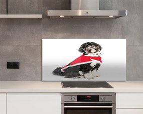 Szkło Ozdobne do Kuchni Portret Spokojnego Psa