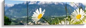 Obraz - Wiosna w Alpach (170x50 cm)