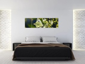 Obraz motyla (170x50 cm)