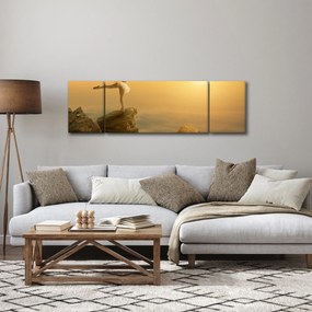 Obraz - Baletnica na skale (170x50 cm)