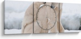 Obraz - Niedźwiedzie polarne (z zegarem) (90x30 cm)