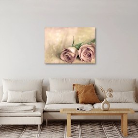 Obraz - Delikatne róże (70x50 cm)